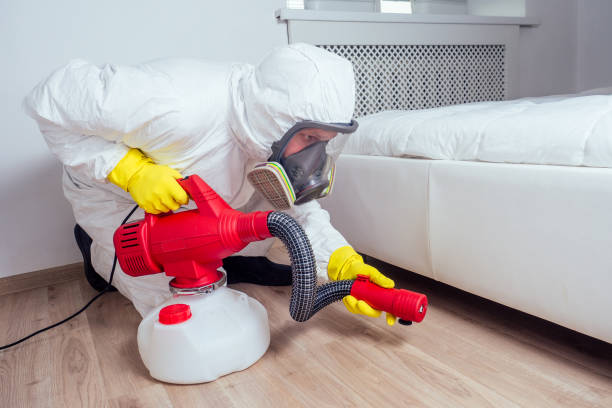 Best Real Estate Pest Inspections  in Mpo, CA